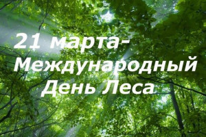 Тематическая программа «Международный день лесов